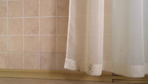 Best Mold-Related Health Consultation  in Fort Mckinley, OH
