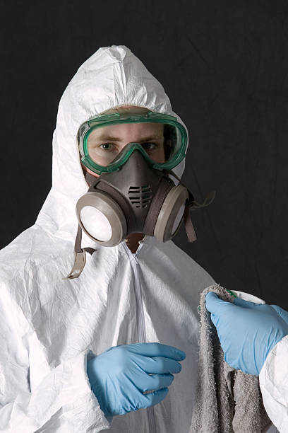 Fort Mckinley, OH Mold Removal Company